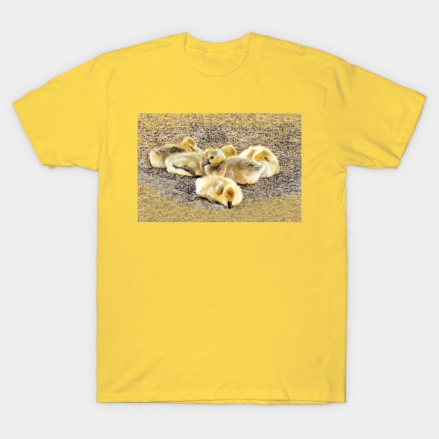 Goslings-1 T-Shirt by MaryLinH